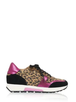 DUMFRIES leopard - Sneakers | Fuchsia / Black