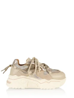 JUPITER KIDS - Sneakers | Taupe / Stone
